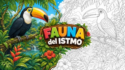 Los tucanes llegan a ‘Fauna del Istmo’: Mi Diario te invita a colorear y aprender sobre estas aves panameñas