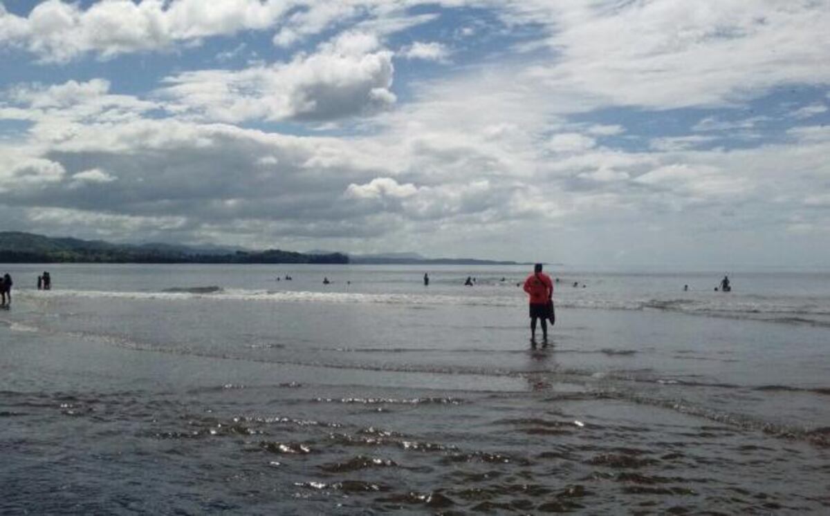 Encuentran degolladas a gallinas y cabras en Mariato, Veraguas 