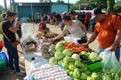 ¿Buscando Agroferias? Estos son los 13 puntos anunciados para lunes 7 y martes 8 de septiembre
