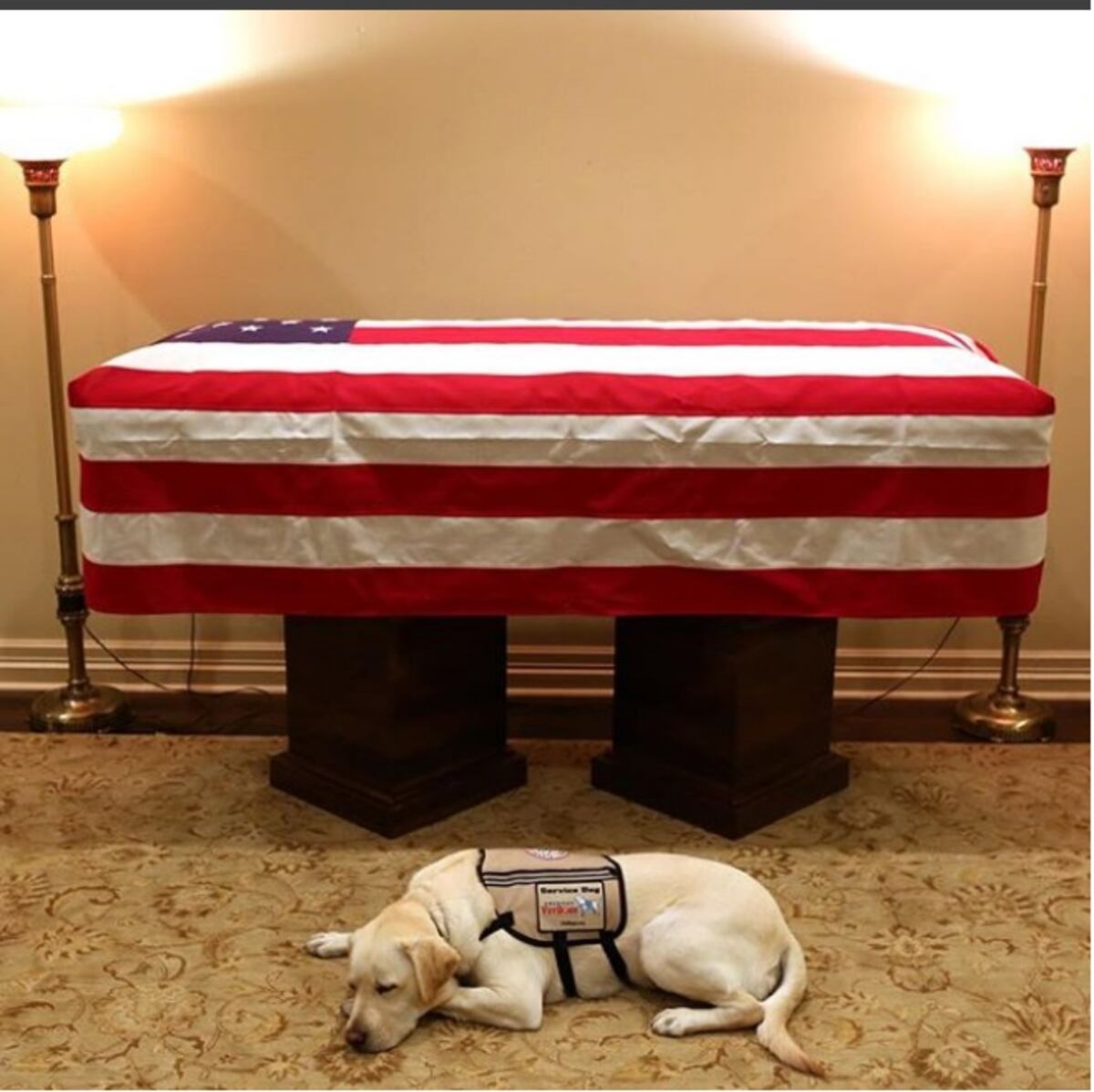 Sully acompaña al expresidente George W. Bush en su última misión