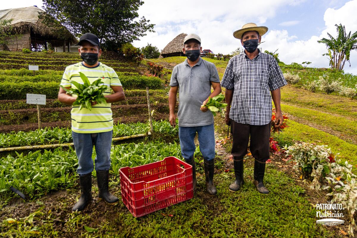 Patronato de Nutrición celebra sus 31 años de fundación con grandes pasos