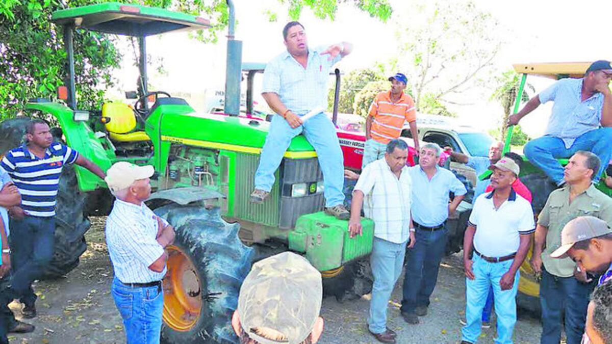 ‘Yo no fui, fue pepé', productores responsabilizan a molineros por calidad y escasez del arroz 