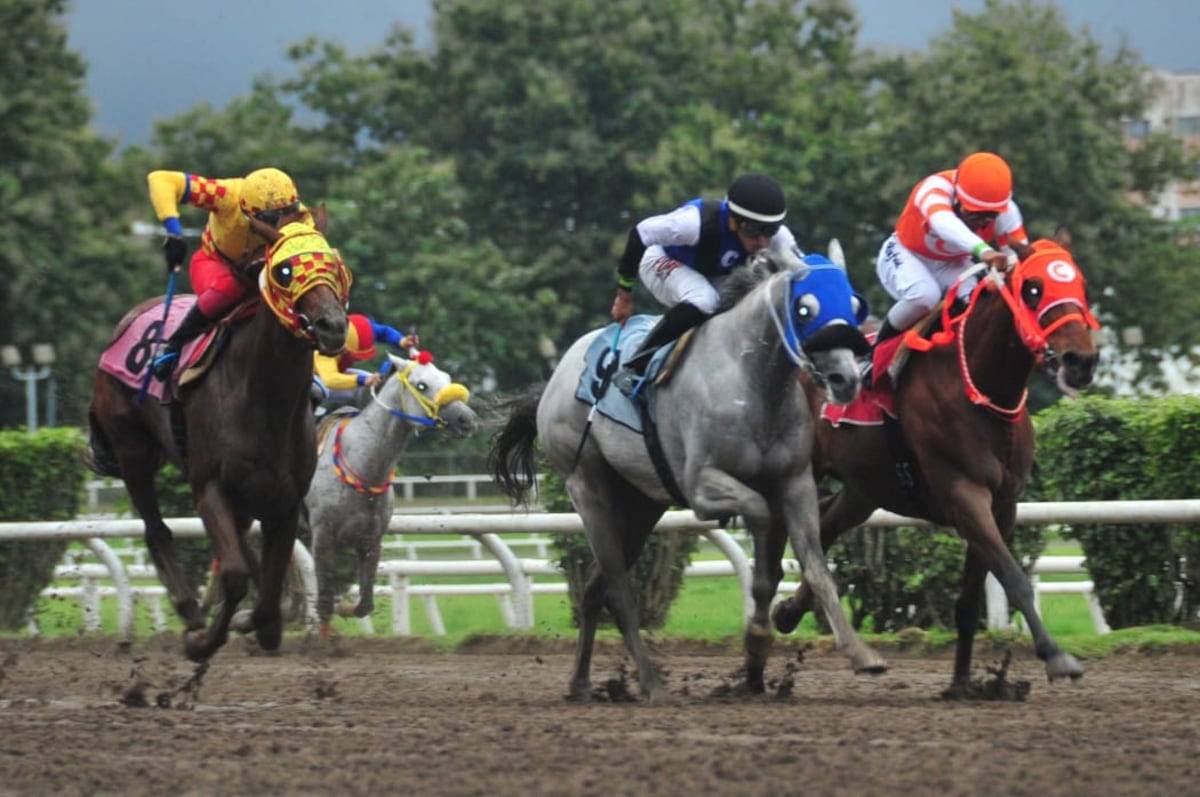 ¡Final cardíaco! El Rojo se corona en un final de película en la Copa de Oro 2024