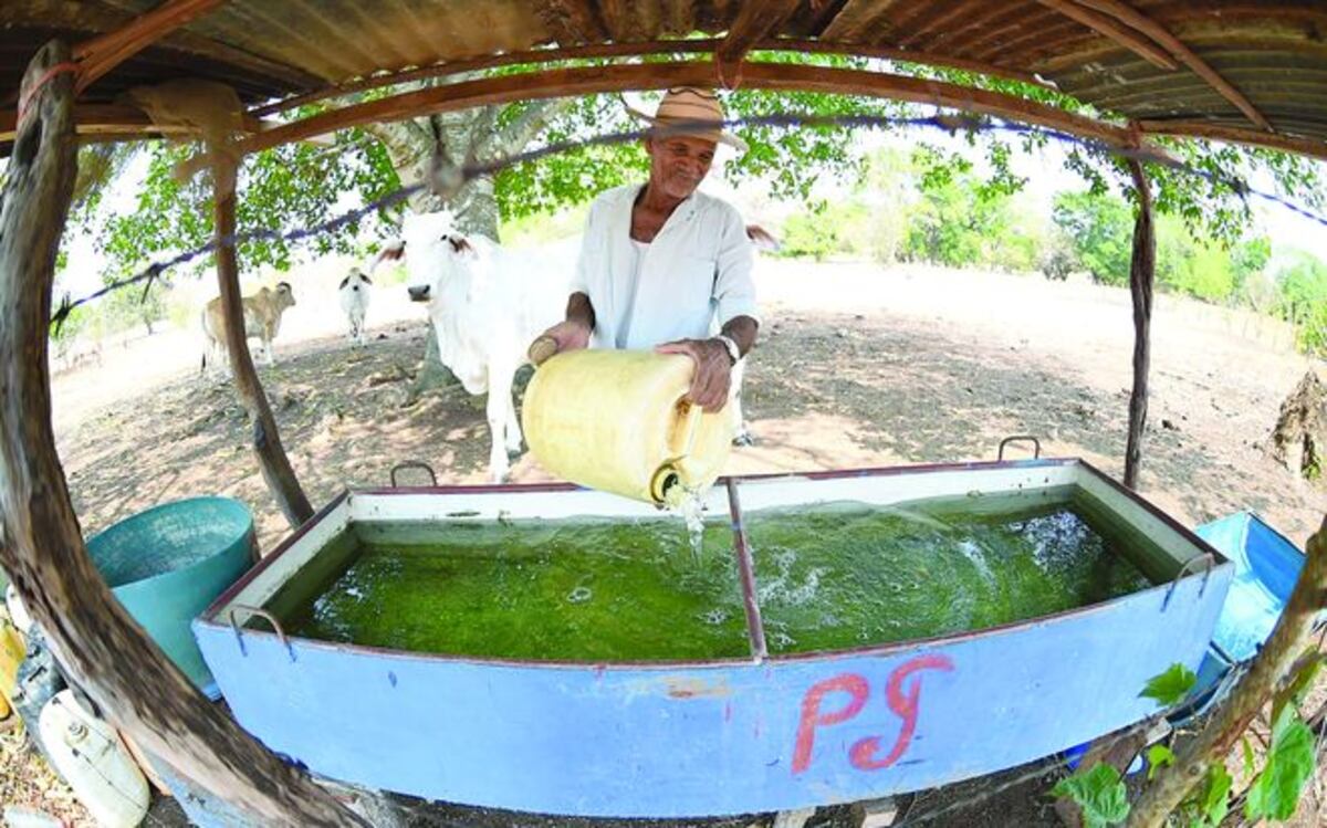 El río Canajagua se seca de forma rápida