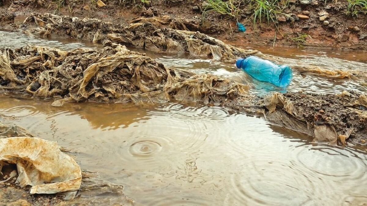 Exhibición artística de Panamá sobre contaminación por plásticos llega a Perú