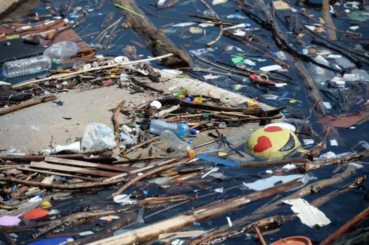 ¡COCHINADA!  Se acaba el año y miren cómo está Amador |VIDEO + FOTOS