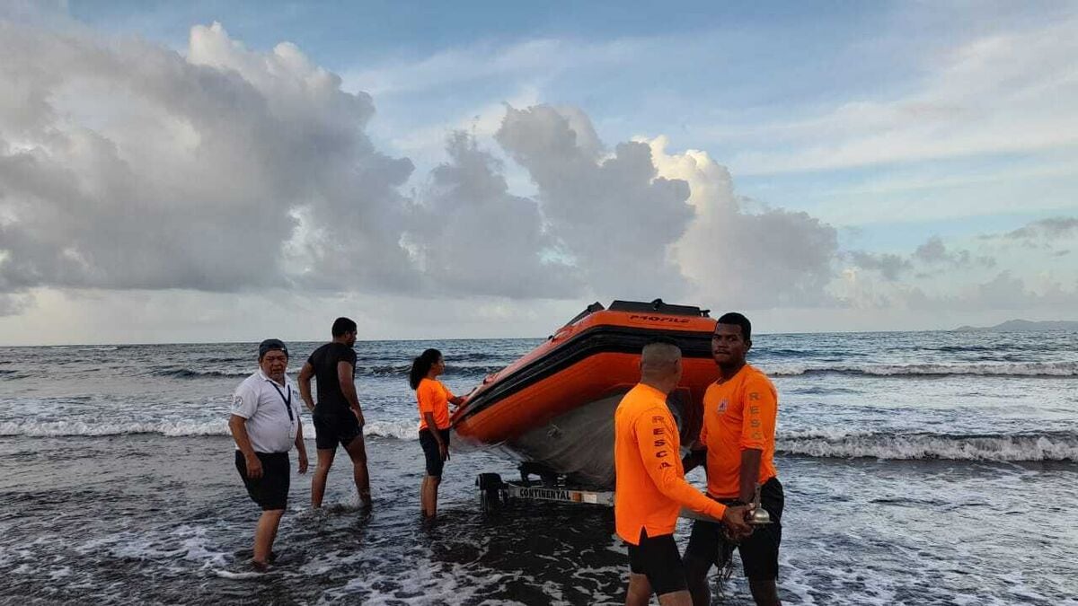 Rescatan a delfín en playa de la Costa Arriba de Colón
