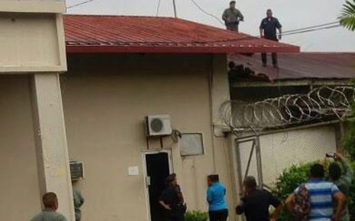 Hace de hombre araña para escapar de la cárcel de David