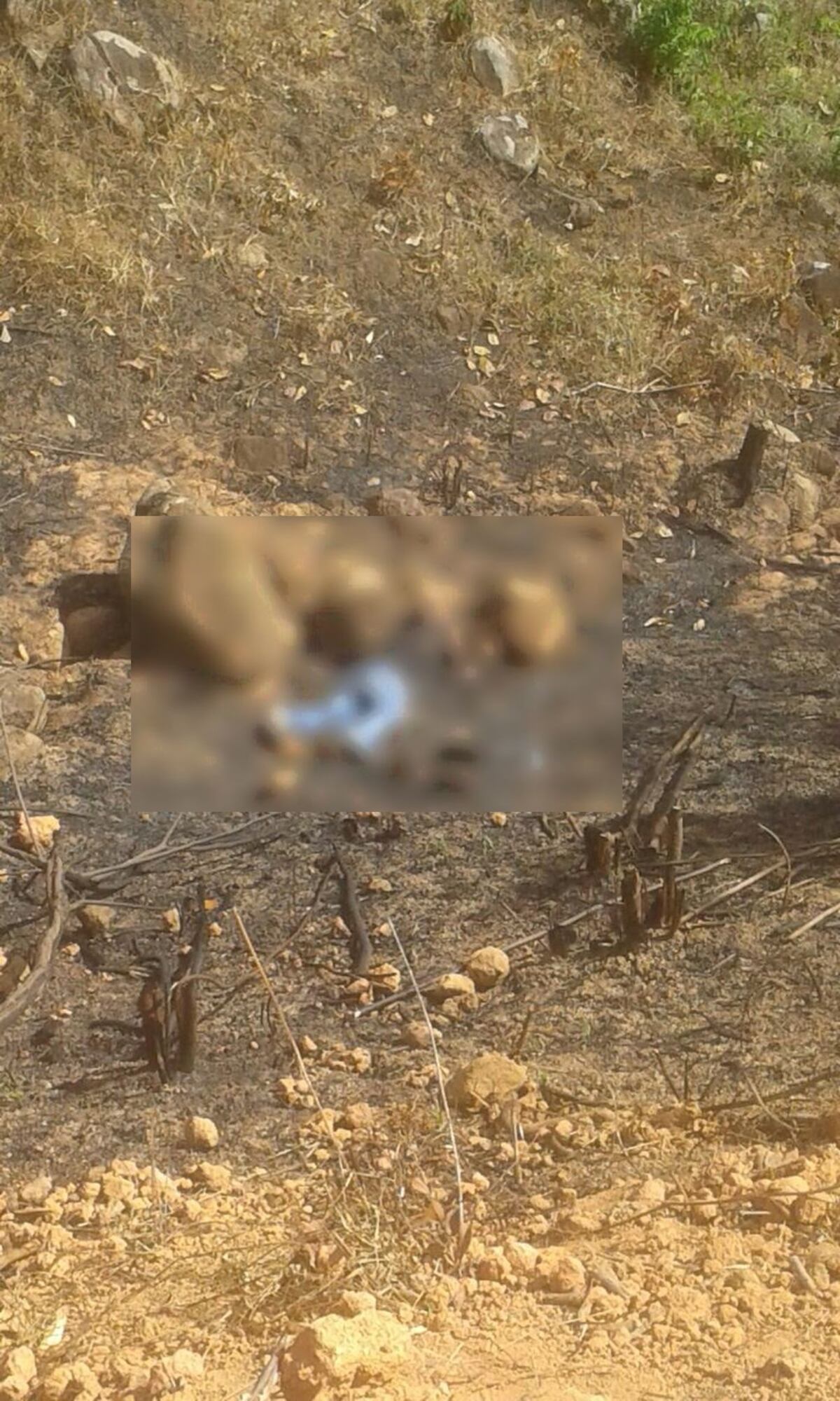 ÚLTIMA HORA: Asesinan a policía y su sobrino en Pedregal