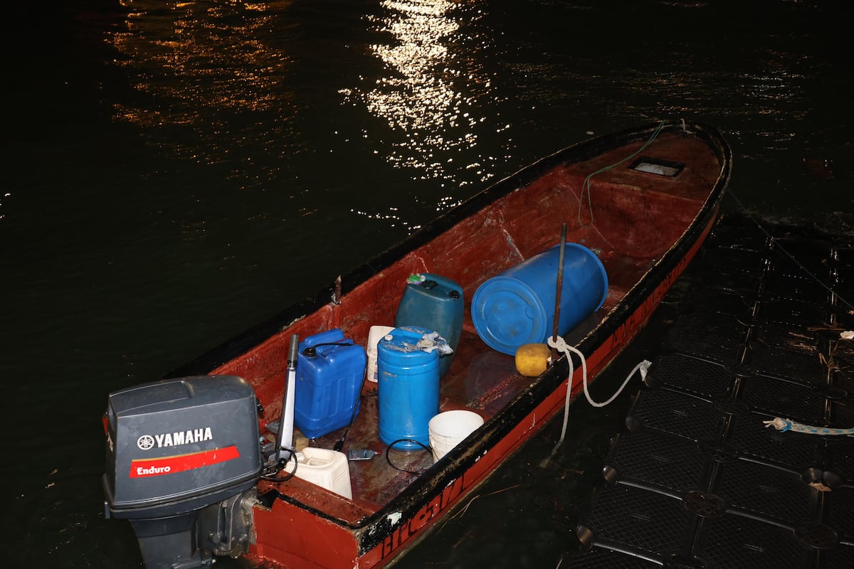 Golpe certero en Veracruz: Caen 5 hombres, mil 465 balas y una lancha robada