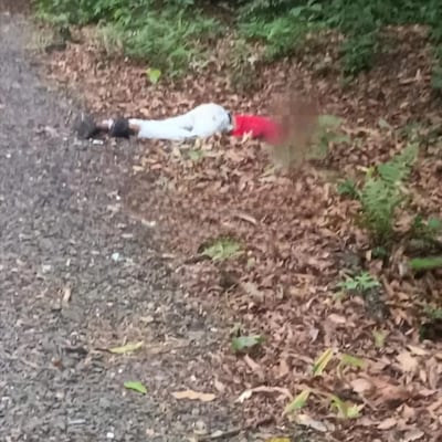 LO ÚLTIMO | Macabro hallazgo en Chilibre: encuentran a un hombre sin vida tirado en la orilla de la vía forestal +VIDEO 