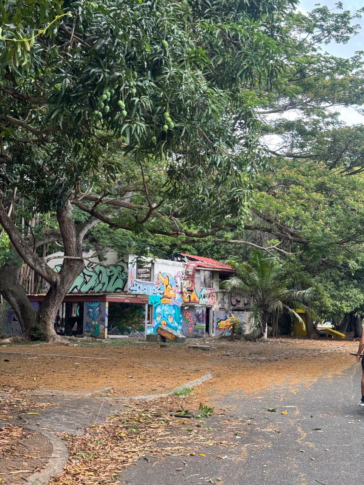 25 años en manos panameñas: Amador pierde su encanto por culpa del abandono