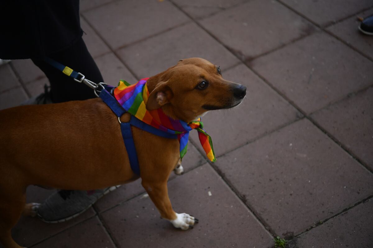 Arranca el Mes del Orgullo con la izada de  la bandera multicolor