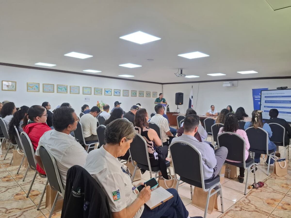 Consulta pública: Impulsan reglas más claras para los estudios de impacto ambiental en Panamá