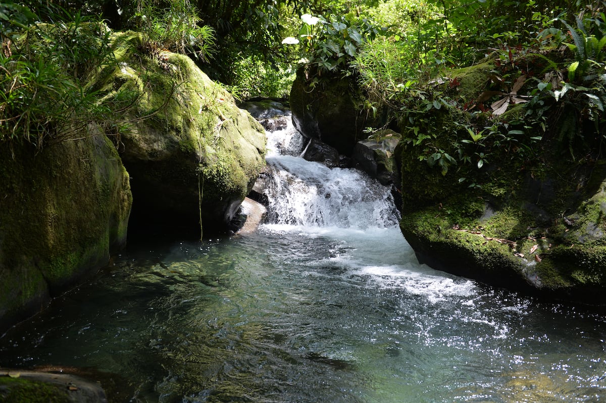 Panamá un paraíso de la biodiversidad