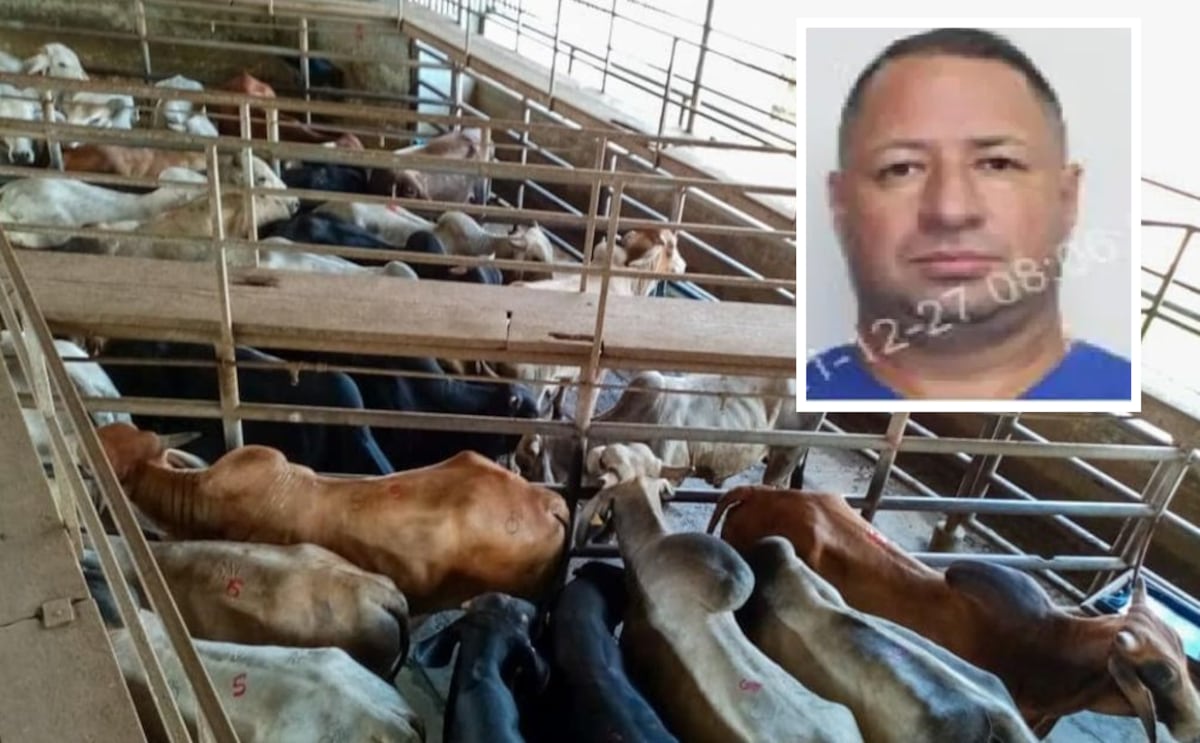 Médico chiricano y su esposa se hacían pasar por ganaderos, pero trabajaban para capo ‘tico’