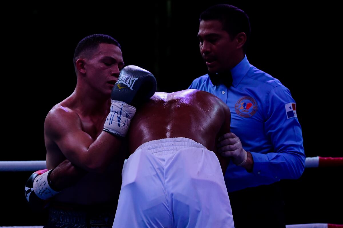 Panameños dictan seminario virtual para jueces de boxeo