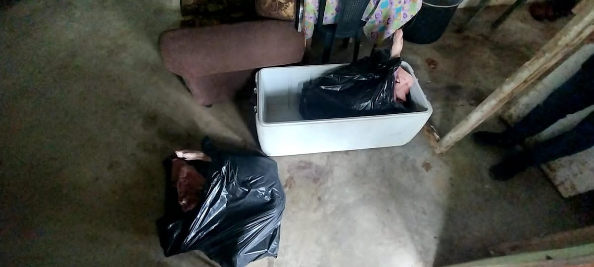 Qué horror. En el distrito de Capira vendían carne podrida que había sido hurtada