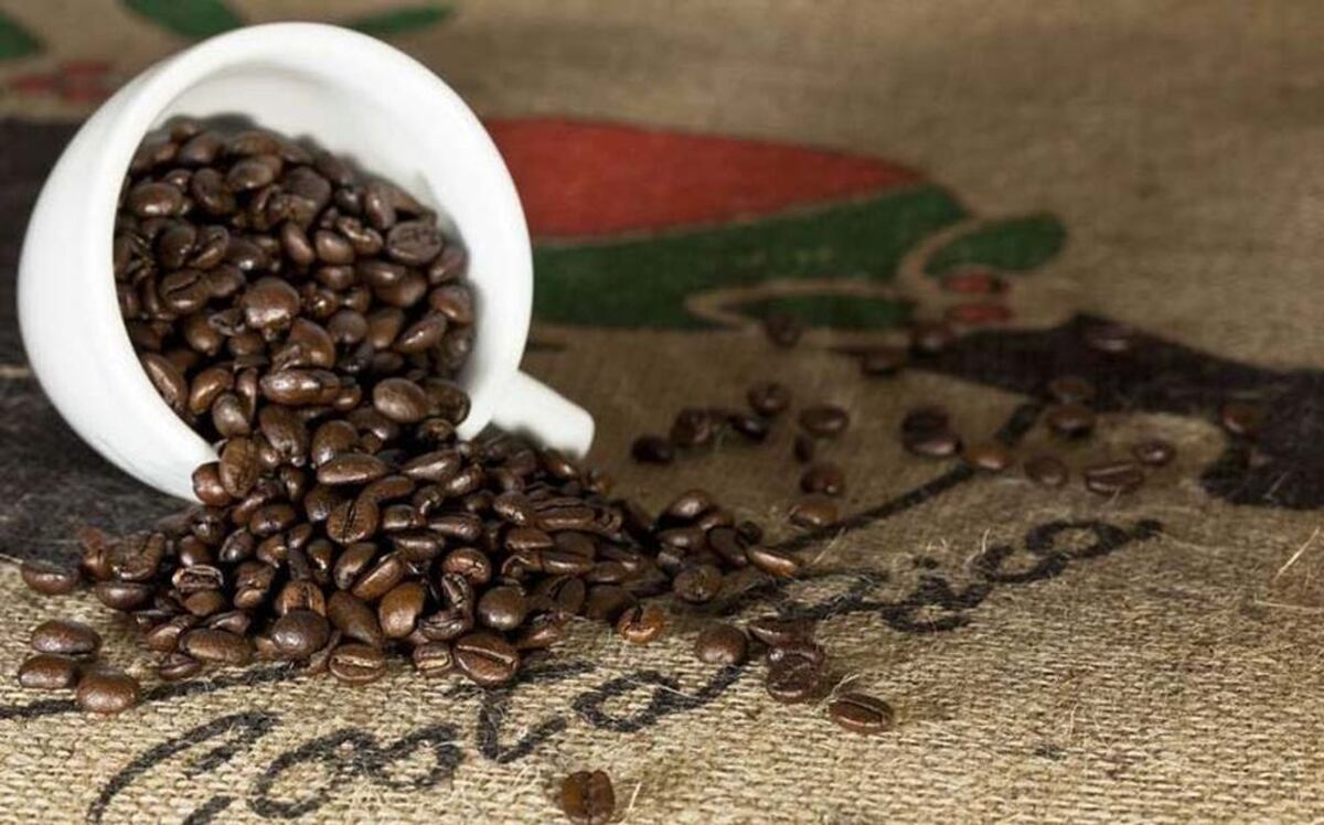 Costa Rica abre en Dubái una oficina de promoción comercial