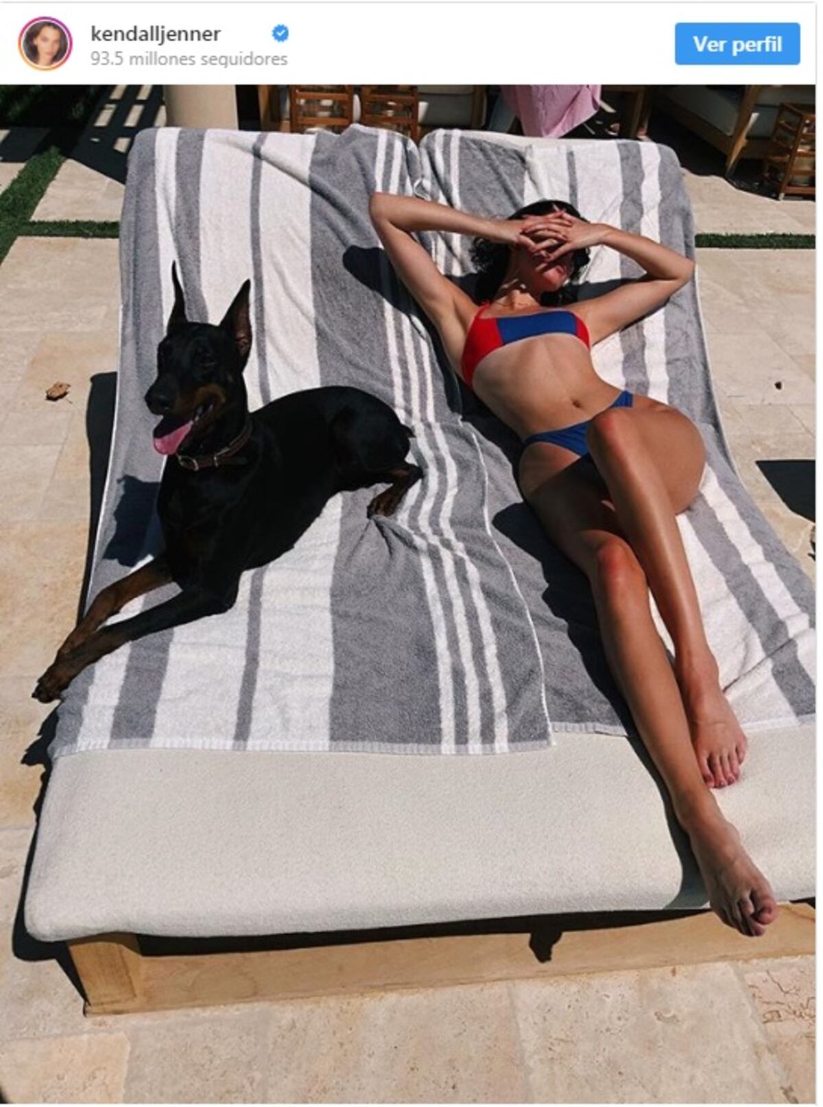 Kendall Jenner huyó luego que su doberman atacara a una niña