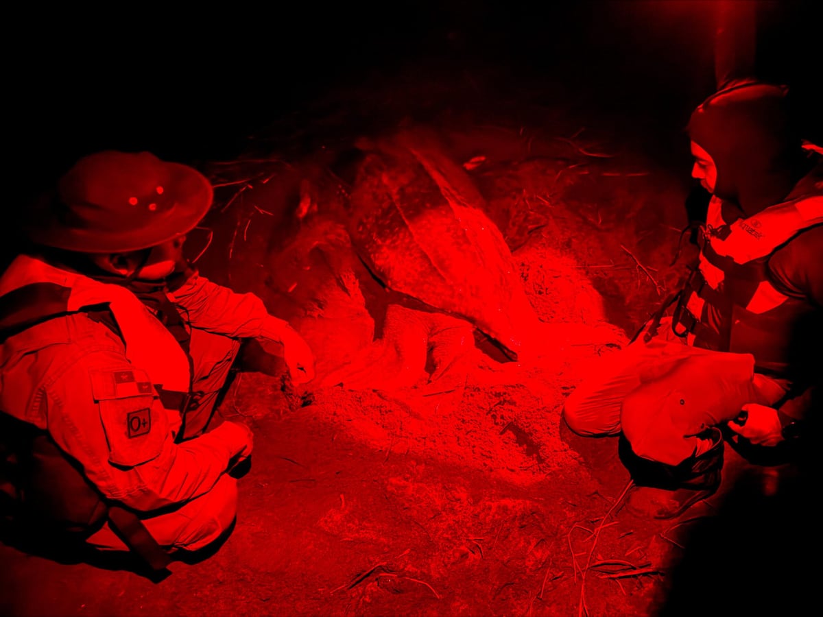 Operativo en Playa Soropta frustra tráfico de huevos de tortuga baula