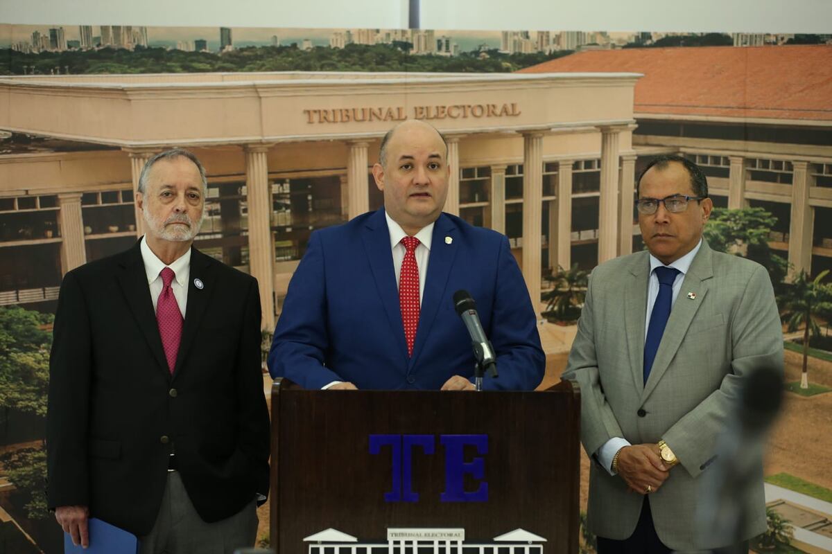 TE: ‘En estos momentos no hay condiciones para organizar la pretendida consulta popular’