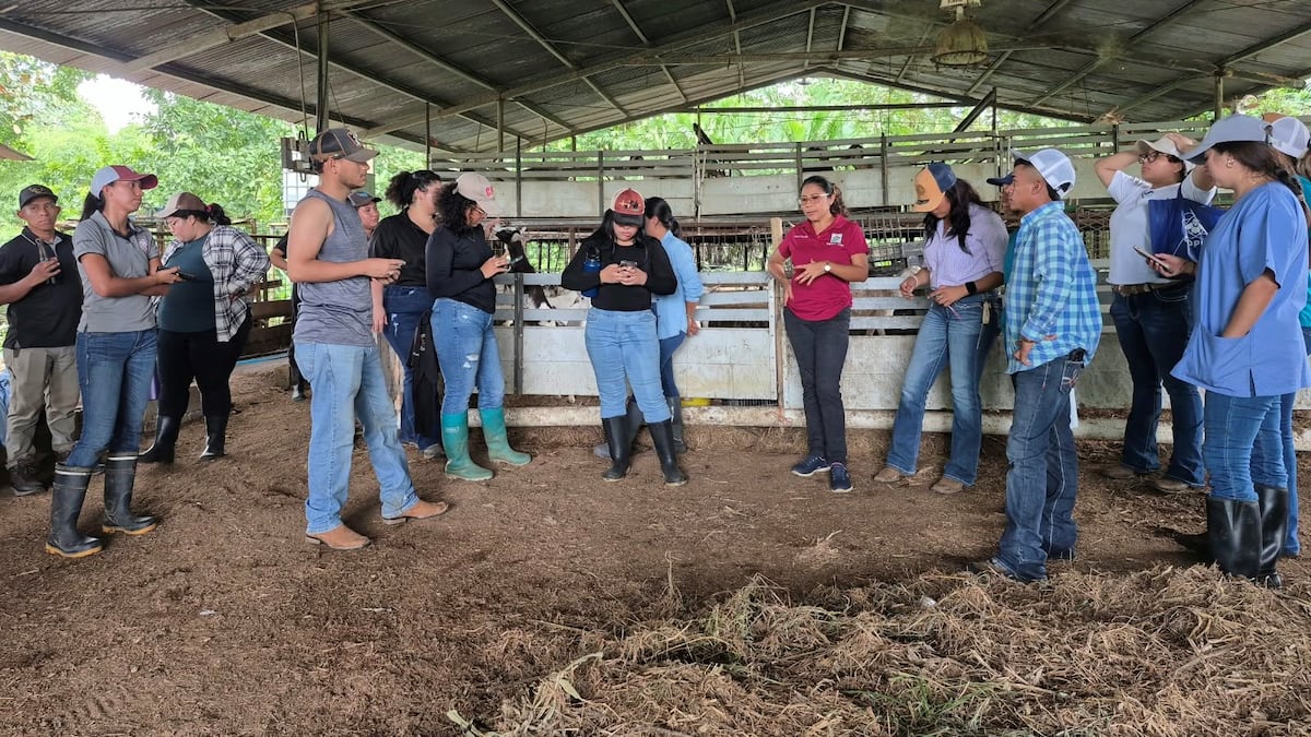 ¡JORNADA MÁS ALLÁ DE LOS LIBROS! 25 estudiantes de Zootecnia conocieron de cerca la producción animal