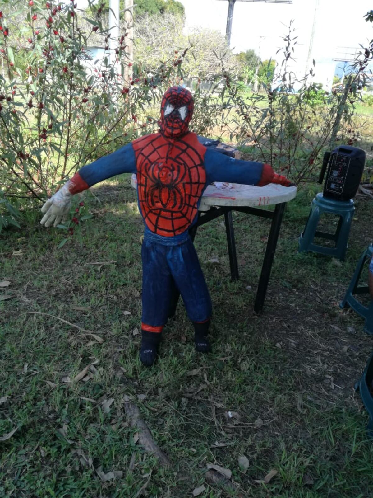 Pondrán a arder a Rosa Montezuma.Martinelli el más buscado