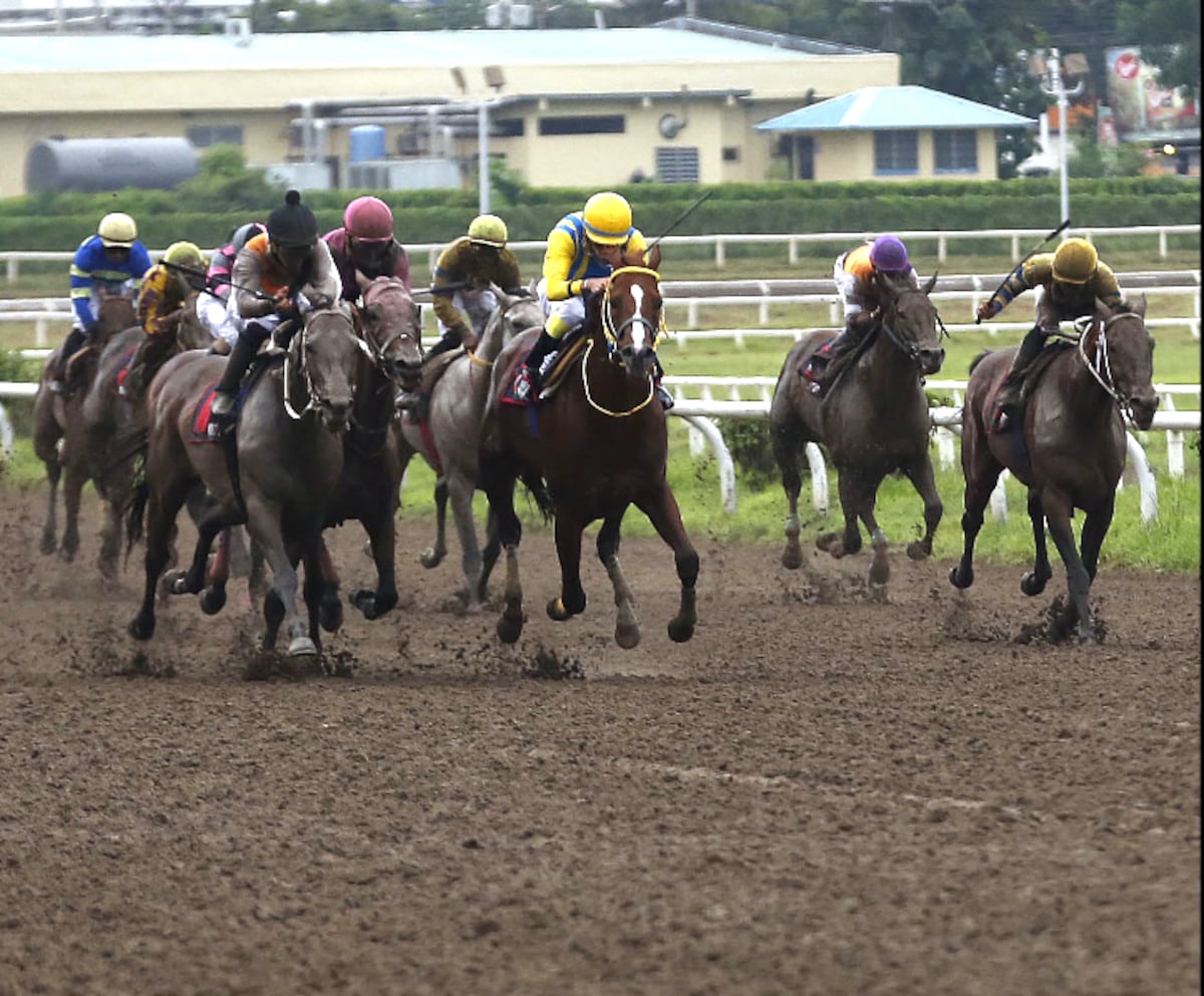 Nueva normativa hípica en Panamá dando un paso hacia el futuro y la competitividad internacional