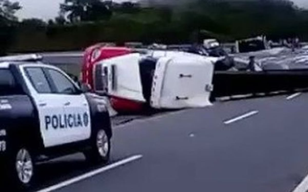 Mula choca y se vuelca en Veraguas | Video