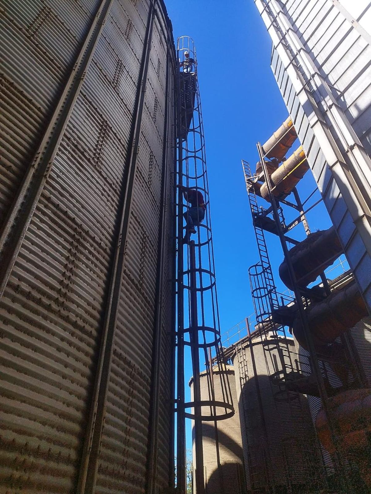 MIDA realiza capacitación para fortalecer el control de arroz y maíz