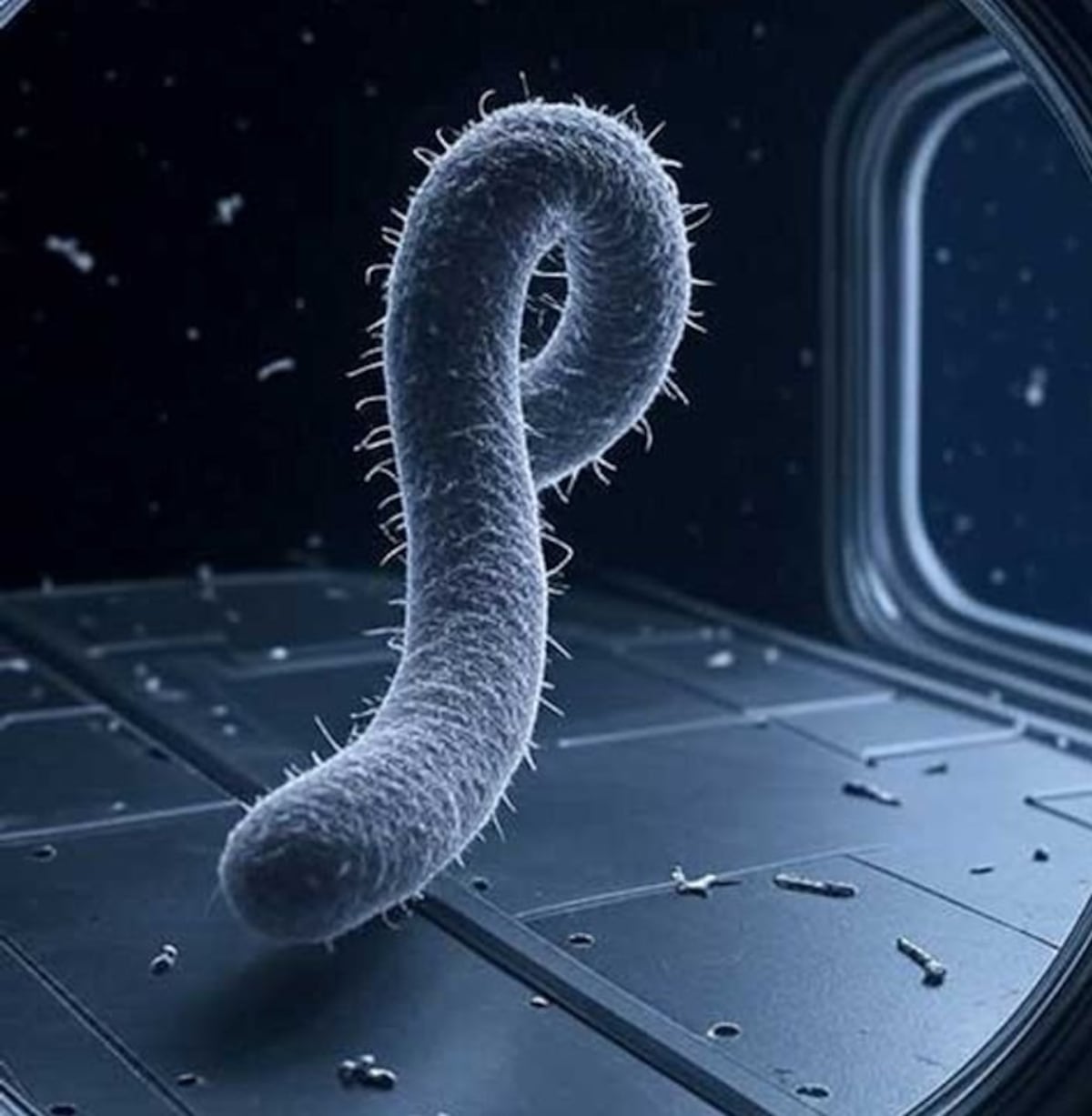 ¡Descubren bacteria en la Estación Espacial China! Desafía todo lo conocido