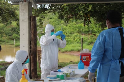 Especialistas realizan inventario de roedores para reforzar vigilancia del hantavirus en Montijo