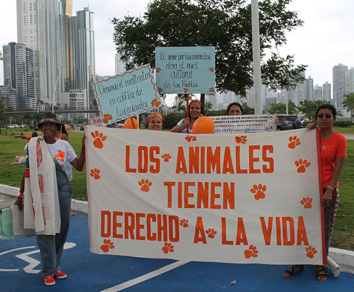 Mónica Lee y Calle 7 participarán en el Gran Desfile Canino de Chanis