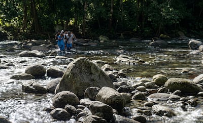 A lado de una quebrada en Chiriquí hallan muerto a hombre de 61 años