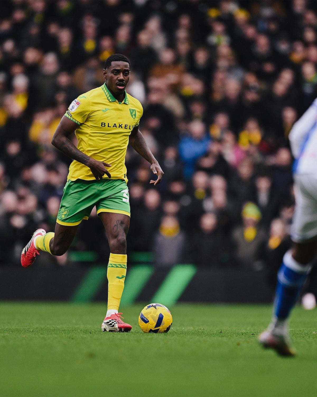 El resurgir de ‘Coto’ Córdoba: Figura clave en la defensa de Norwich