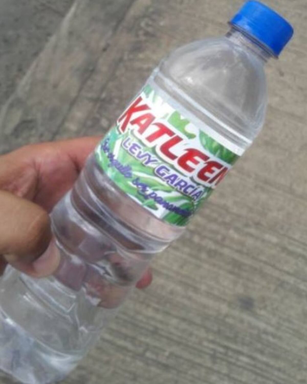 ¿EN CAMPAÑA? Katleen Levy sale a los desfiles y se promueve con agua y abanicos