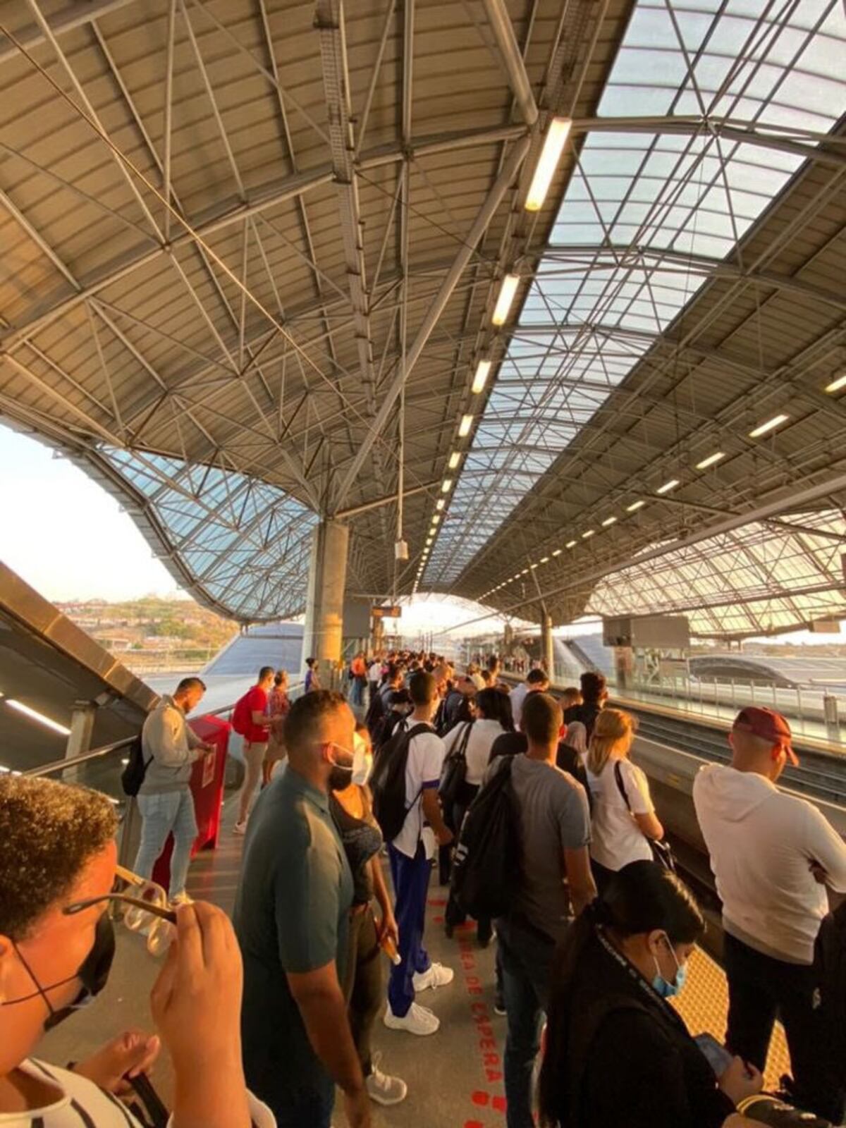 Revuelo. Un perrito paralizó a medio Panamá. Detuvo la Línea 1 del Metro. Video