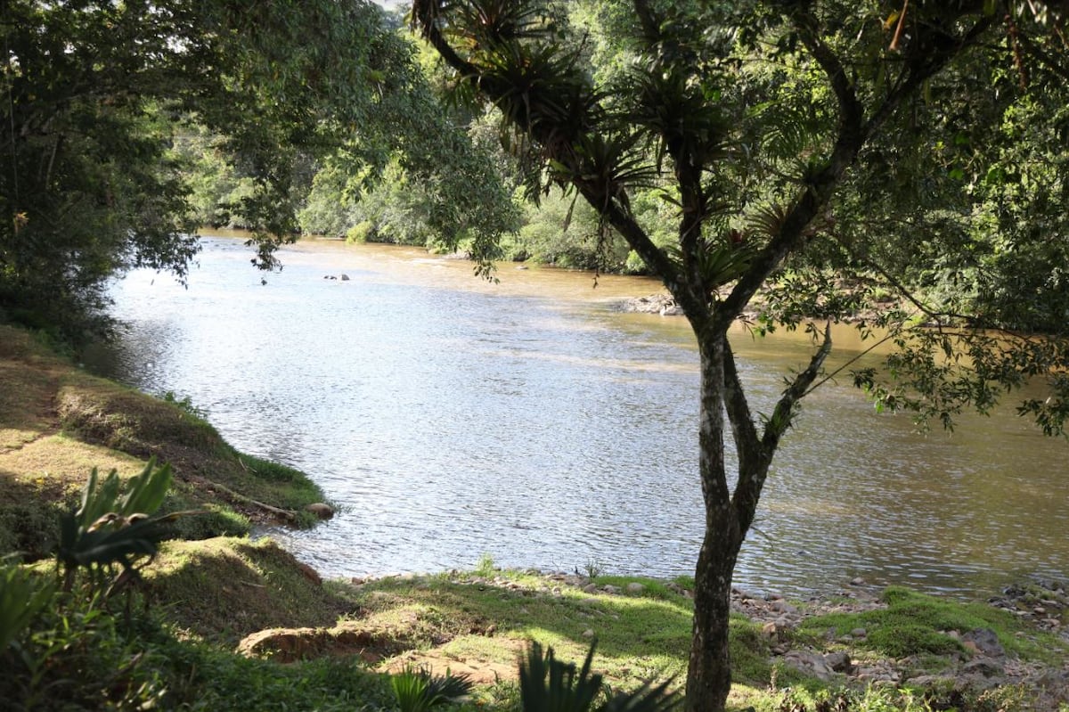 Minera Panamá avanza con su programa de Reforestación, ya son más de 4,300 hectáreas sembradas en todo el país.