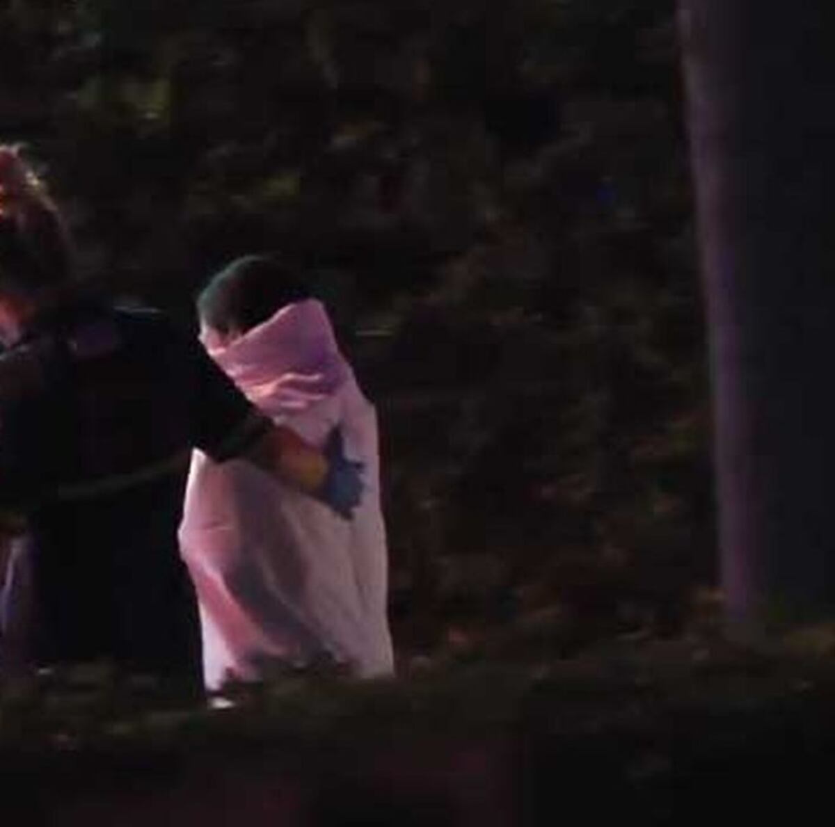 ¡FUEERTE! Mujer se pasea desnuda por el Trump, muchos solo atinaban a filmar