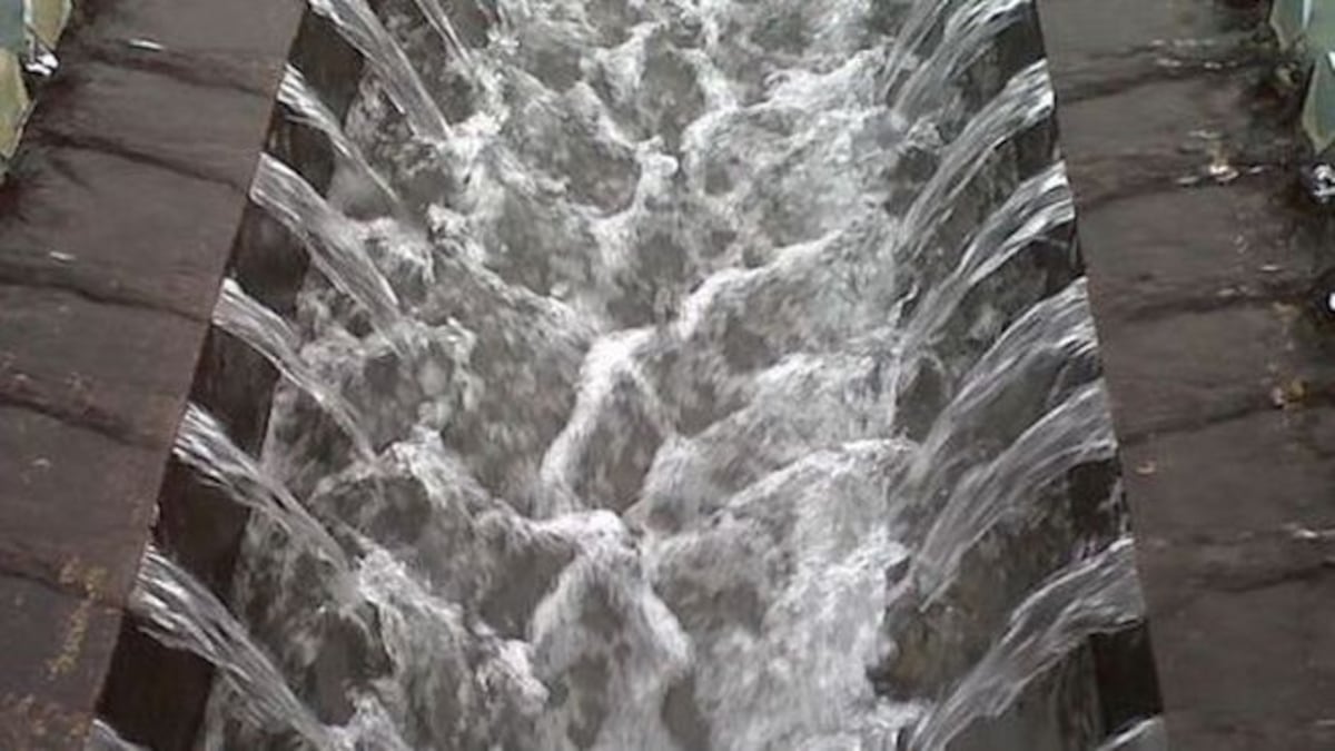 ¡A coger agua! Les diremos en qué sectores se irá y por qué. Chequeen