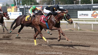 Dos días de emoción en el Hipódromo Presidente Remón