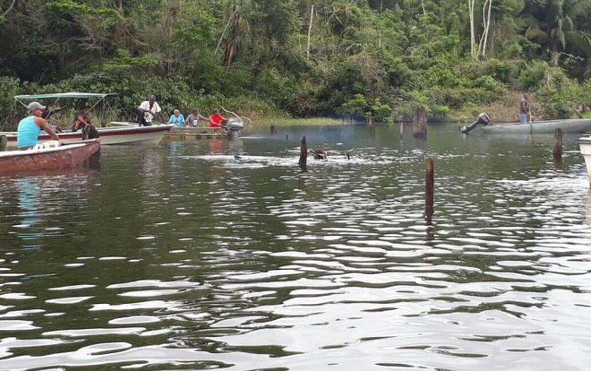 UY,MUERE EN BOCA DE COCODRILO. Recuperan el cuerpo en lago Gatún