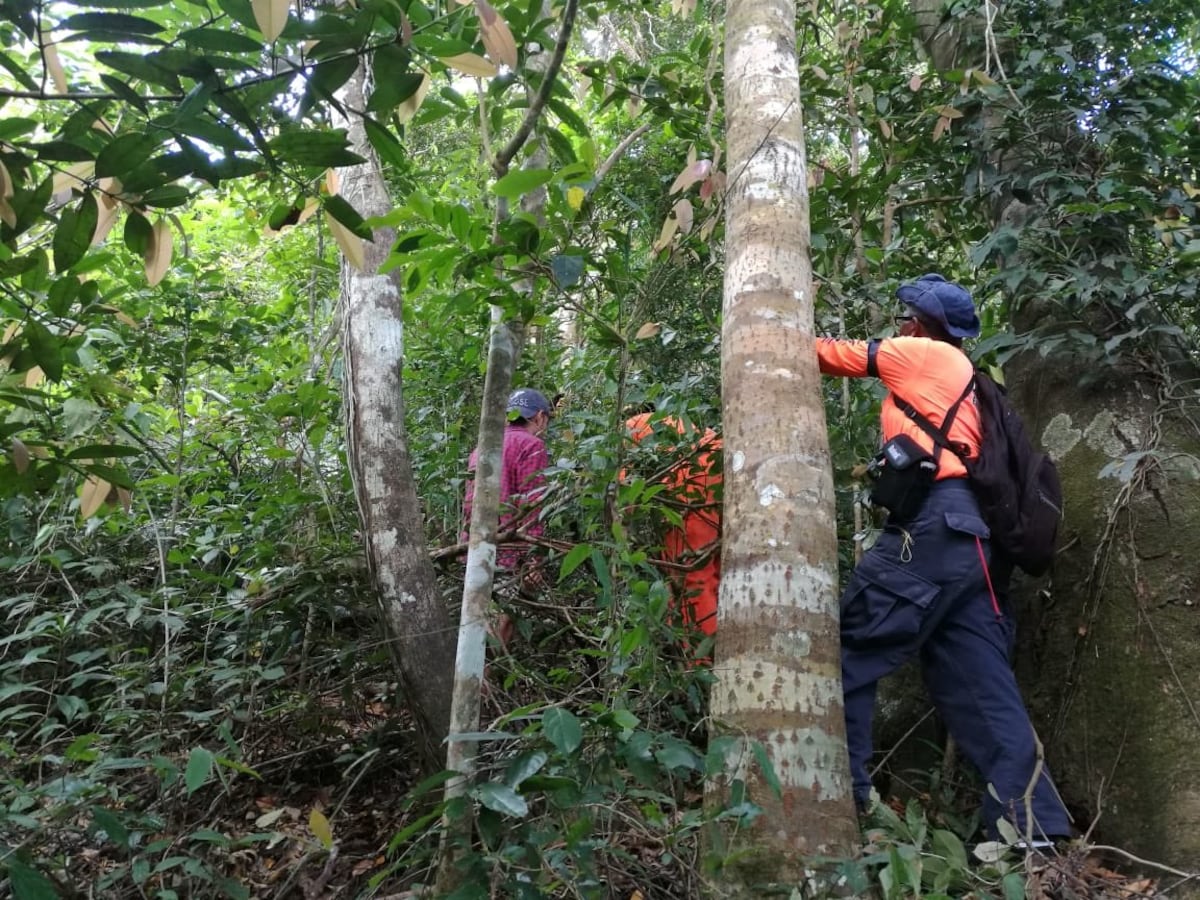 Rescatan a dos jóvenes perdidos en el Cerro Picacho