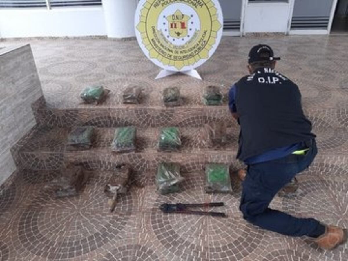Ministro de Seguridad expresó que han incautado 70  toneladas de droga en un año