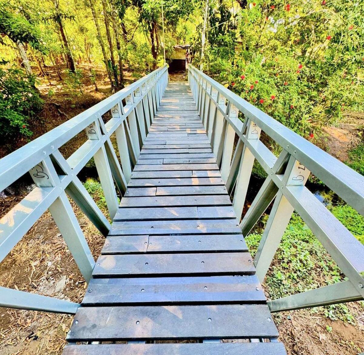 Demandarán a Mayer Mizrachi por construcción de Puente Peatonal en tierras privadas