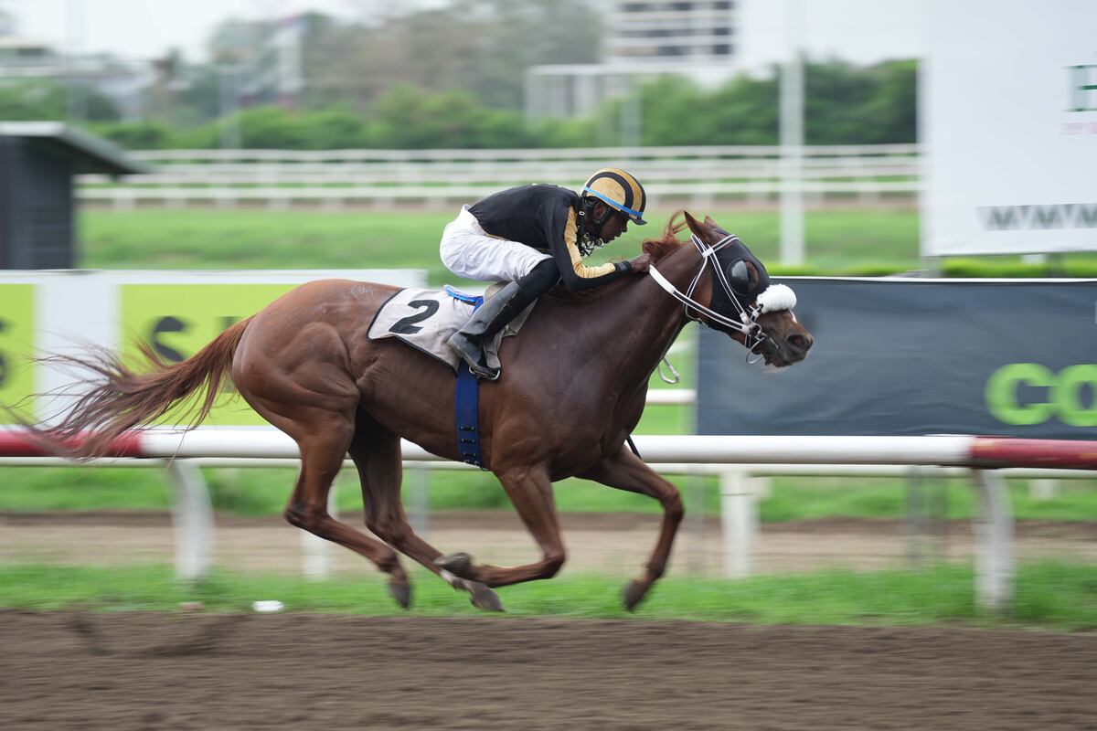 Nueva normativa hípica en Panamá dando un paso hacia el futuro y la competitividad internacional