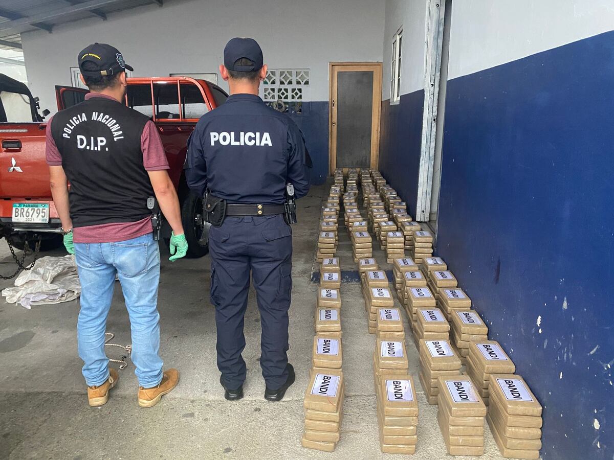 Cae cargamento sospechoso: 400 paquetes de presunta droga