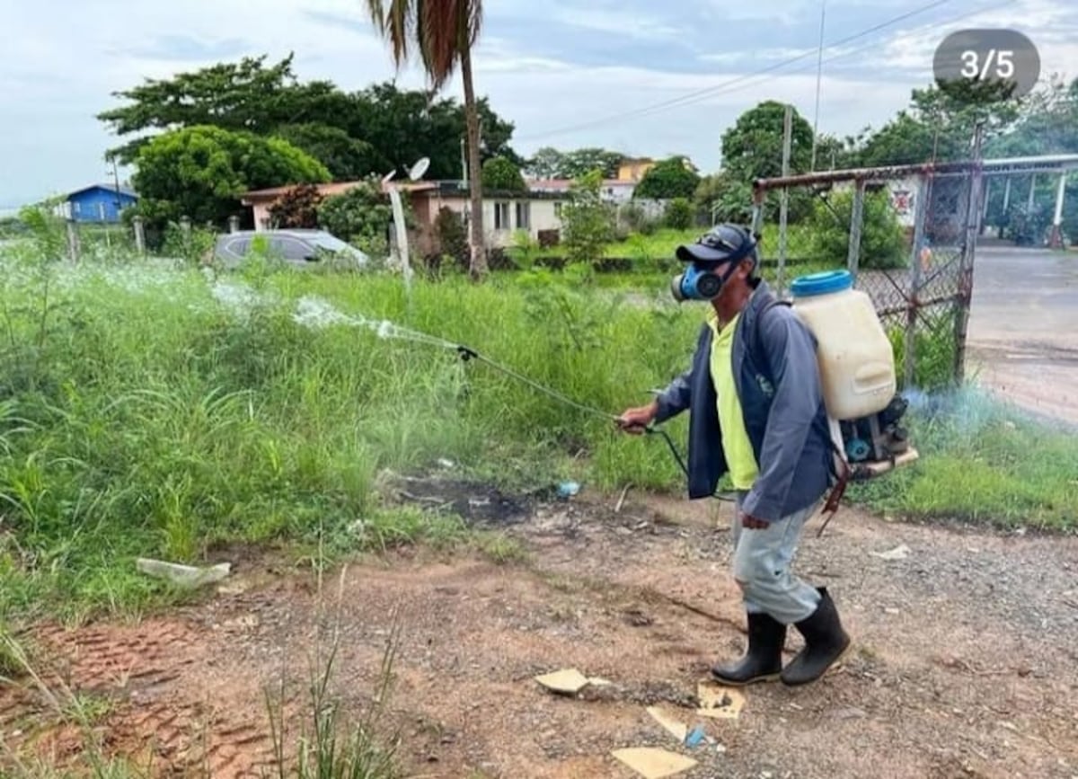 Multarán a dueños de lotes baldíos en Arraiján