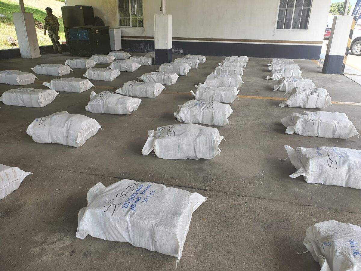 Senan les da otro golpe a los narcotraficantes con el decomiso de más de una tonelada